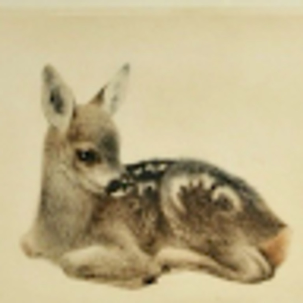 Meet your Posher, Annie